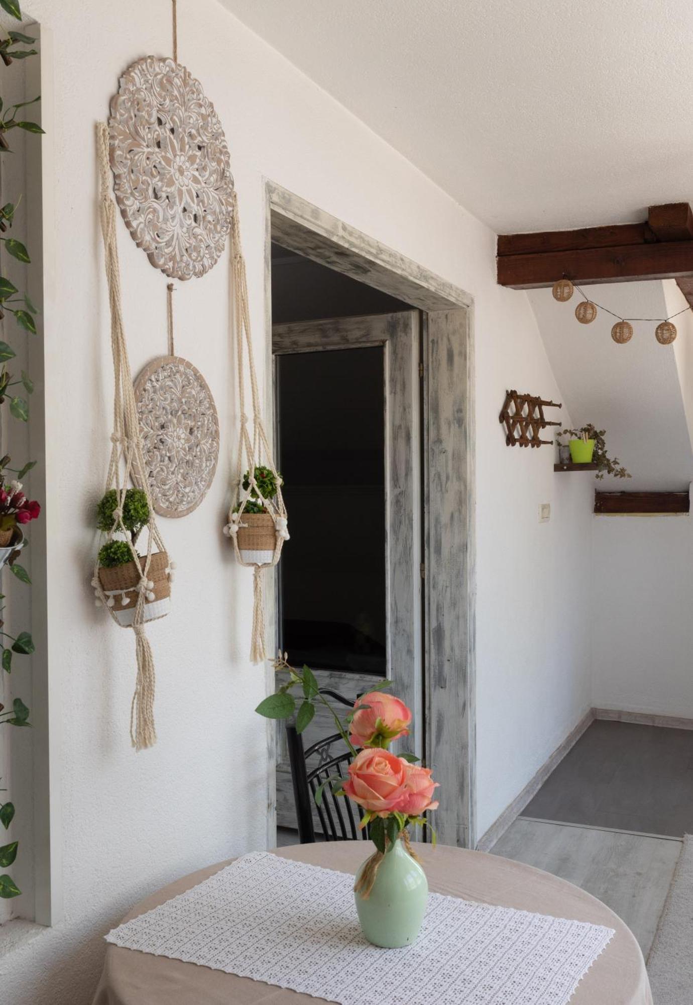 Boho Old Town מוסטר מראה חיצוני תמונה